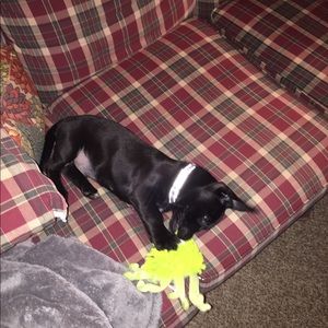 Meet your Posher, Andrew